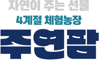 자연이 주는 선물 4계절 체험농장 주연팜
